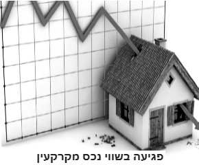 בזכות שילוב איחודי בצוות משרדינו של מהנדסי בניין, שמאיי מקרקעין ומודדים מוסמכים ביכולתינו לכתוב חוות דעת מומחה משולבת בדרישה לתשלום פיצויים עקב פגיעה בשווי נכס המקרקעין. ביניהם:   •	פגיעה בשלד המבנה, בקונסטרוקצית המבנה, נזקי מים, תזוזת קרקע ועוד. •	פגיעה תכנונית עקב תכנית בניין עיר (תב"ע) פוגעת שאושרה וגורמת לנכס נזק וירידת ערך. •	פיצוי בגין בפקעה.